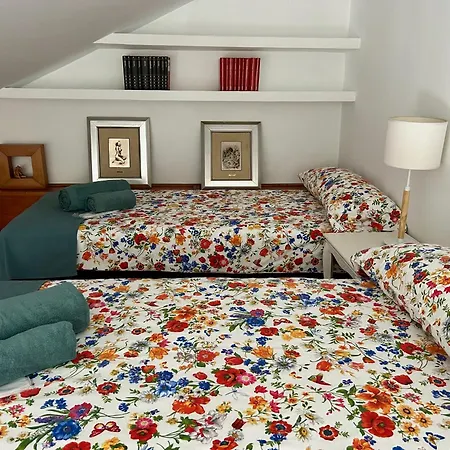 Apartment Atico Olivos Granada